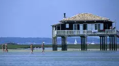 L’Île aux Oiseaux