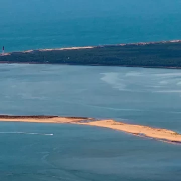 Vacances à La Palmyre